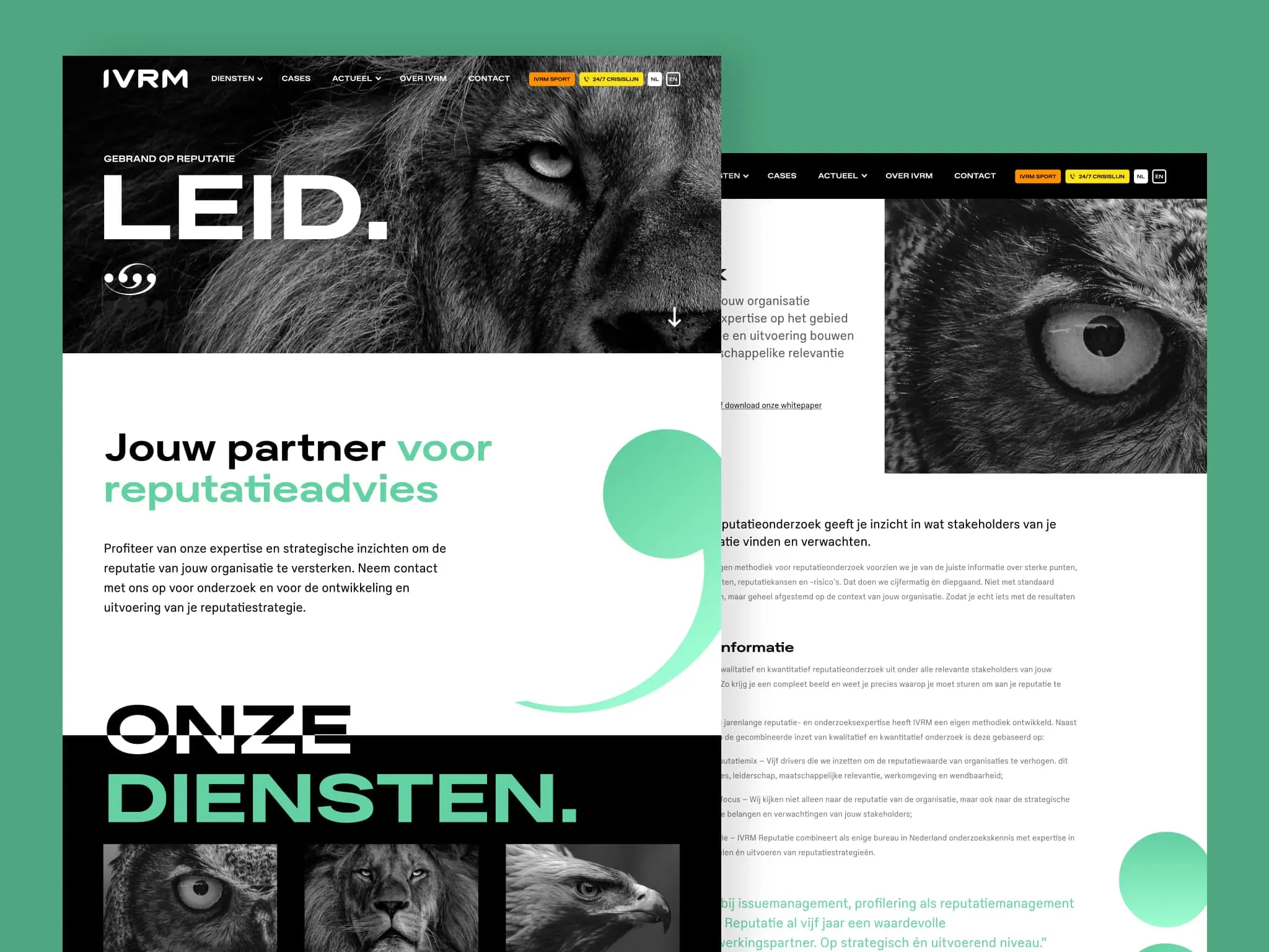Detailweergaven van de IVRM website pagina's