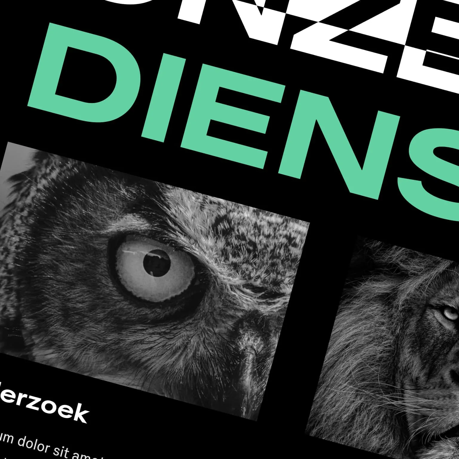 Mockup van de nieuwe IVRM website met vernieuwde look en feel