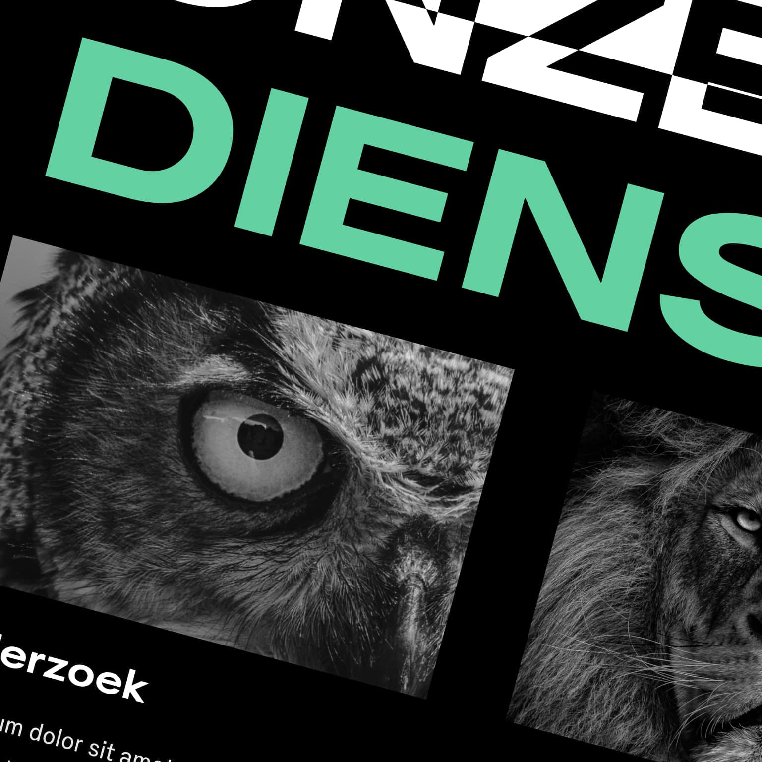 Mockup van de nieuwe IVRM website met vernieuwde look en feel