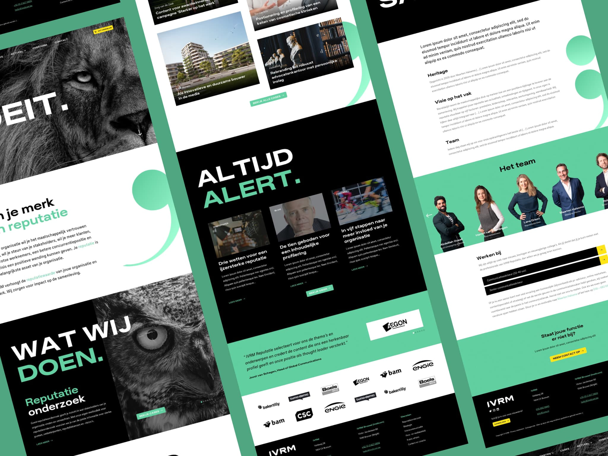 Overzicht van de IVRM website op meerdere apparaten