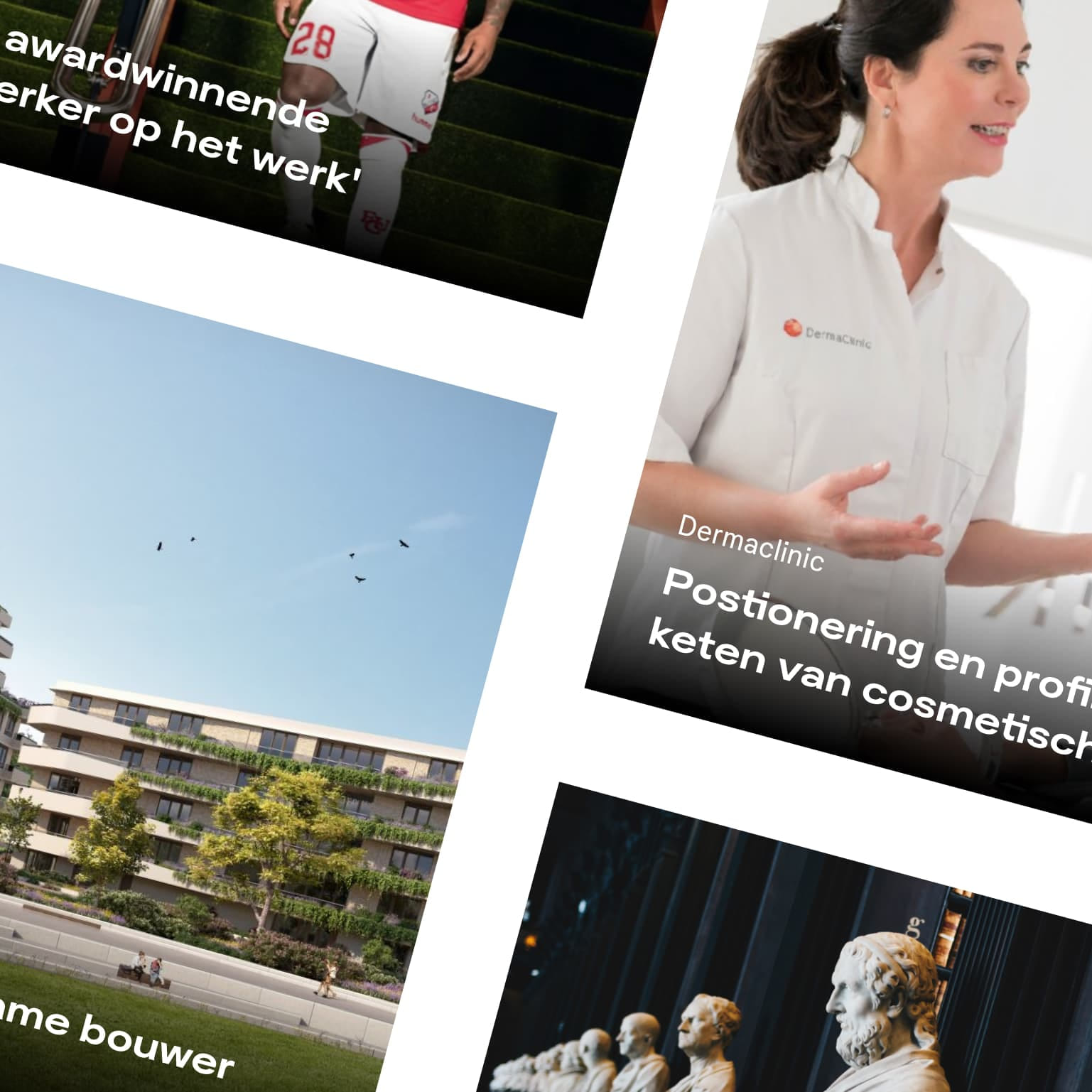 Screenshot van de gekoppelde cases en diensten op de IVRM website