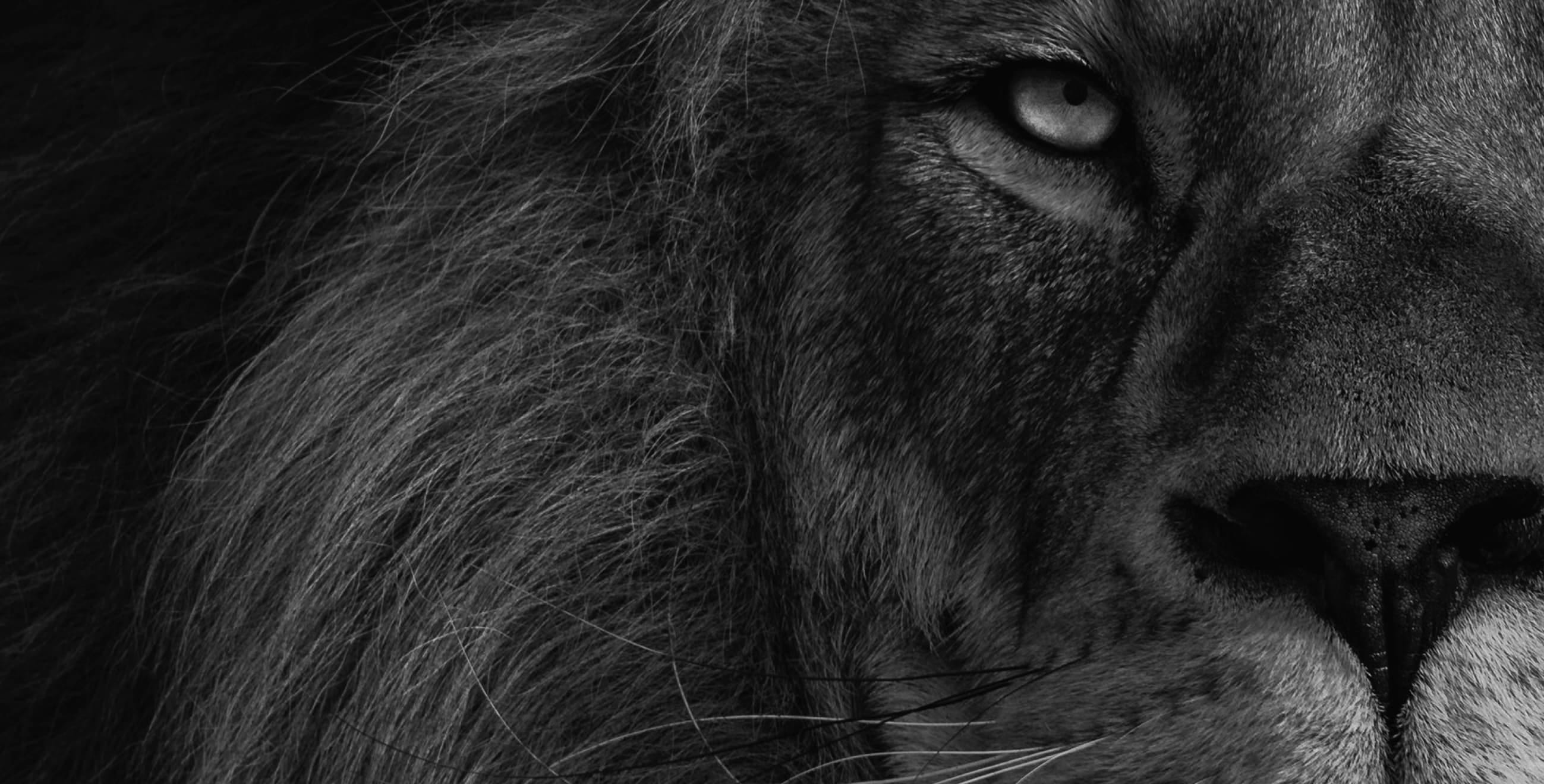 Gun je merk een reputatie