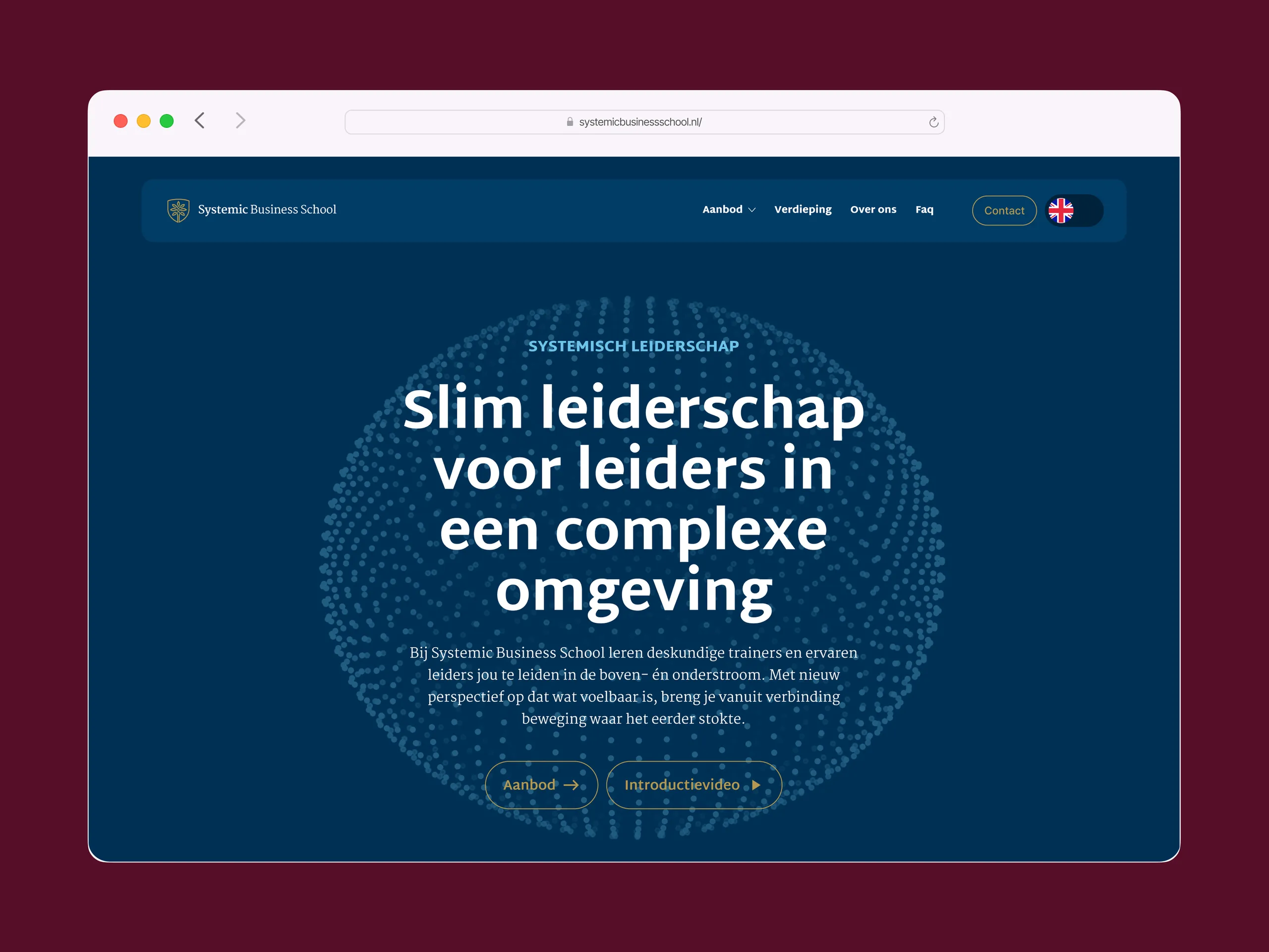 Detailopname van de Systemic Business School website