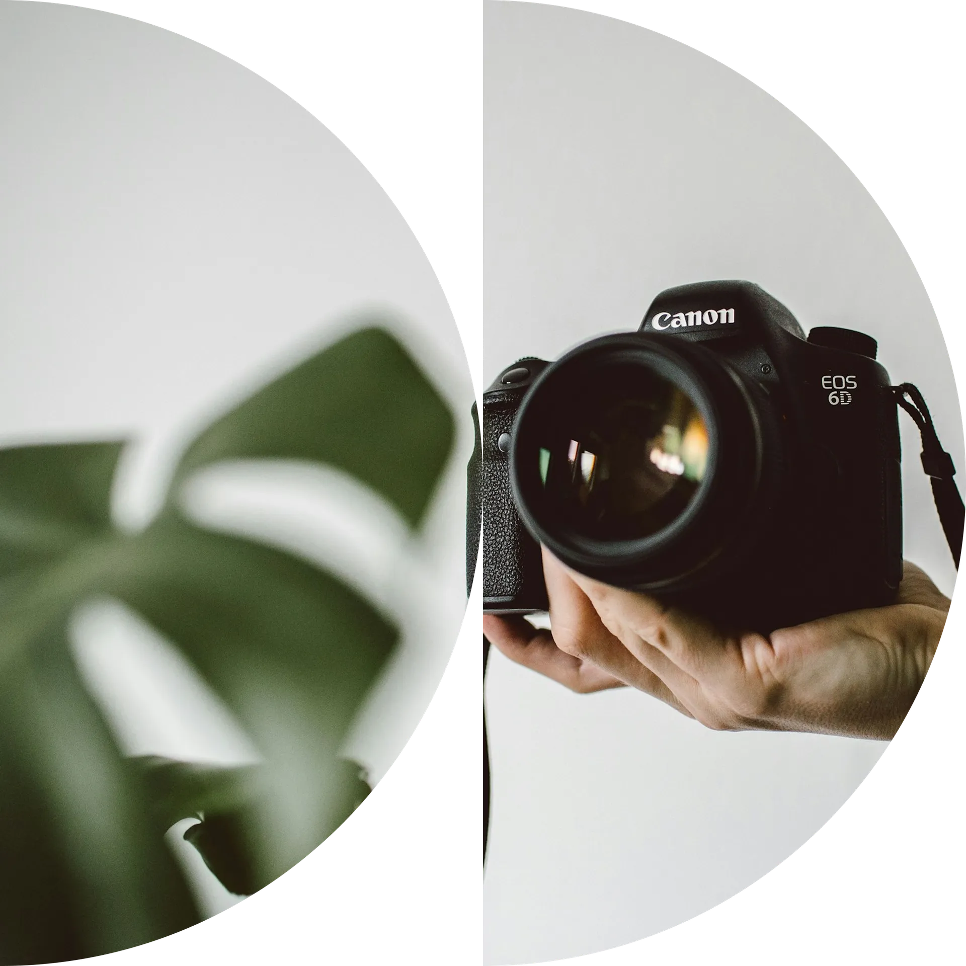 Professionele fotografie voor websites en online uitingen