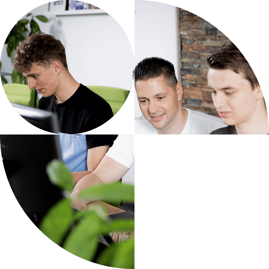 Visuele weergave van een online community platform gebouwd met WordPress